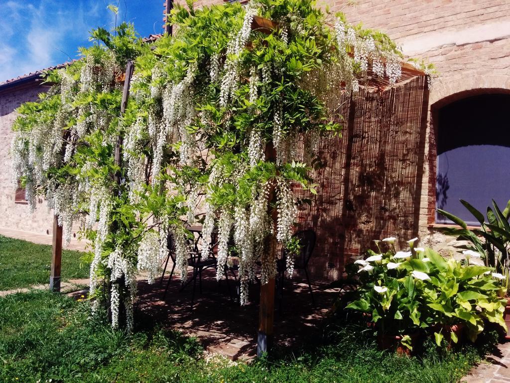 La Fornace Di San Galgano Villa Frosini Exteriör bild